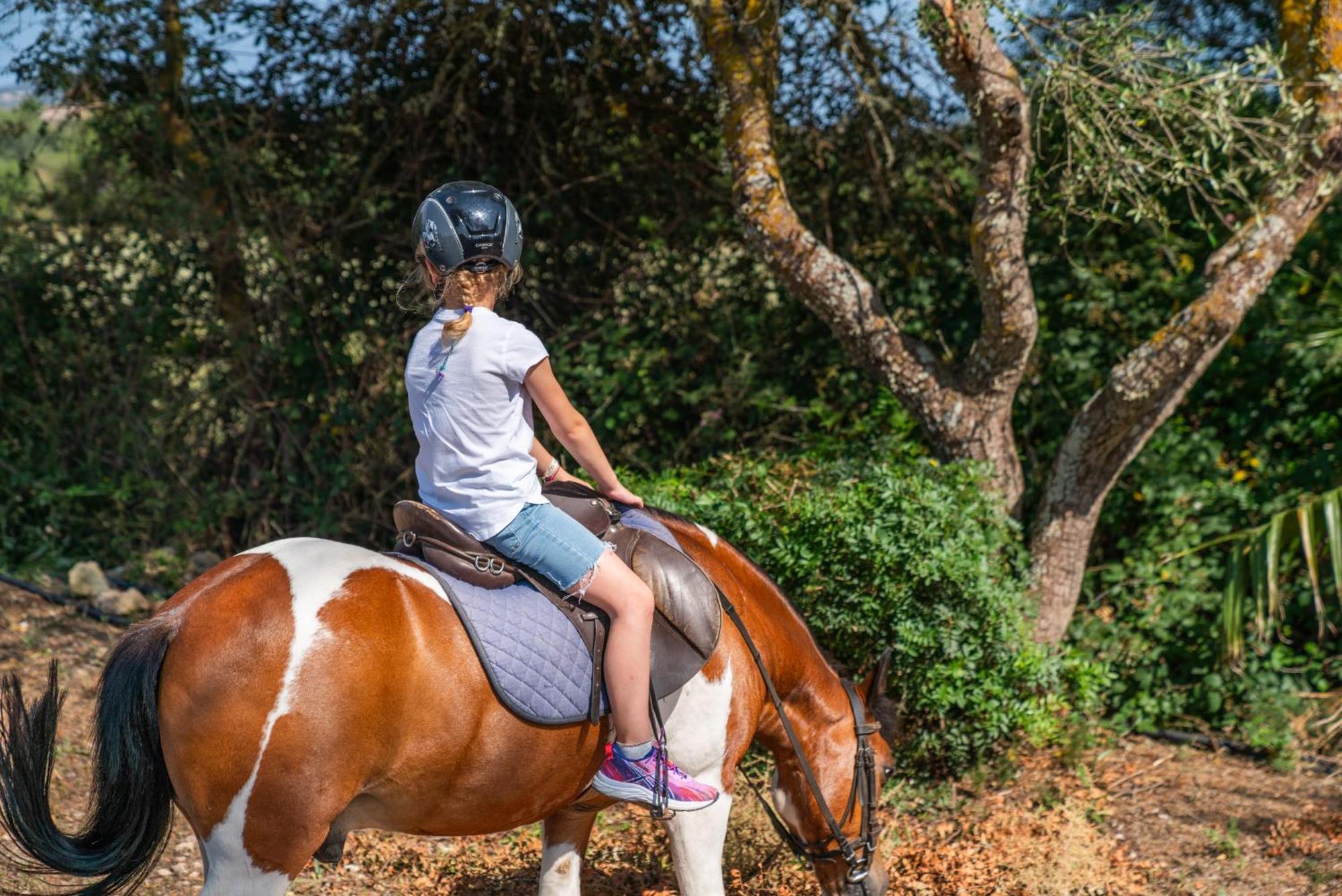 Finca Agroturismo Son Menut Felanitx Dış mekan fotoğraf