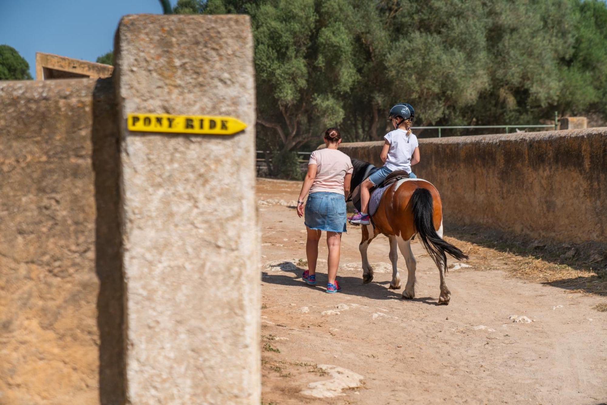 Finca Agroturismo Son Menut Felanitx Dış mekan fotoğraf